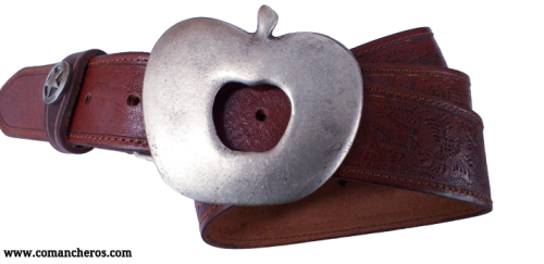 Brown Belt Buckle Apple CT49